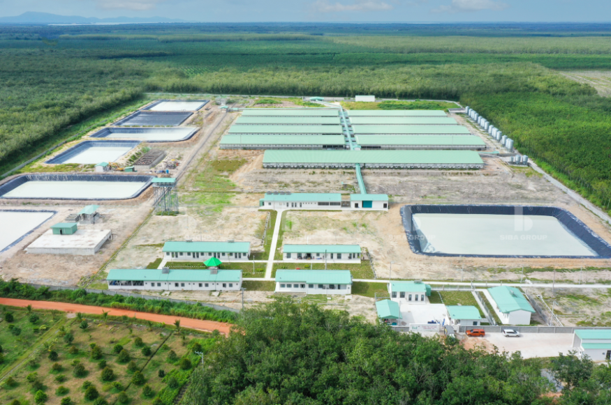 Thi công hệ thống khử mùi Trang Trại Bắc An Khánh