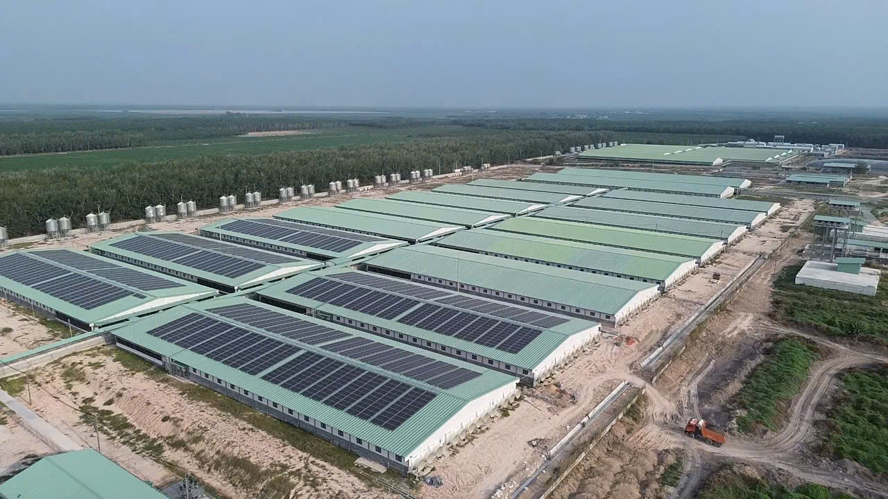 Thi công hệ thống khử mùi Trang Trại Hải Đăng