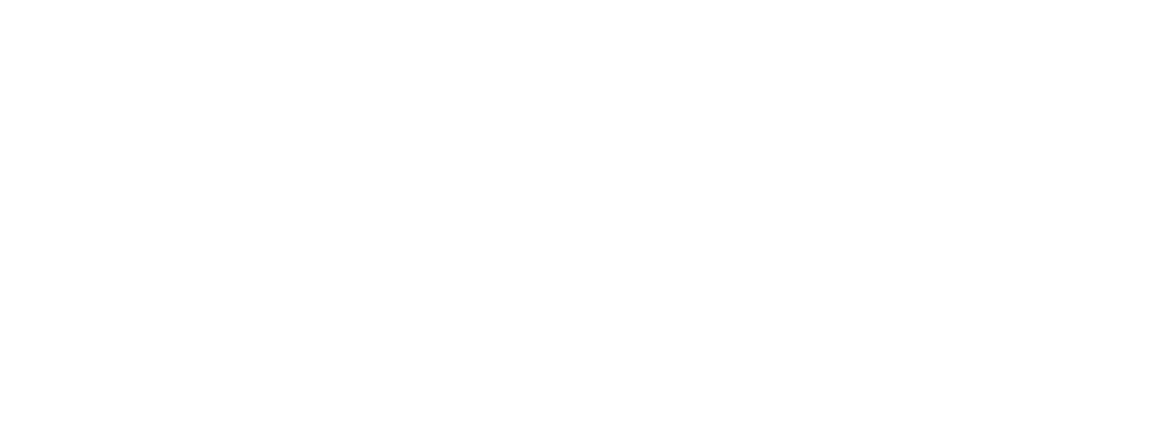 Tín Việt Logo