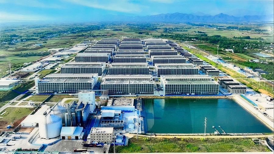 “Chung cư nuôi heo” của BAF được chấp thuận chủ trương đầu tư