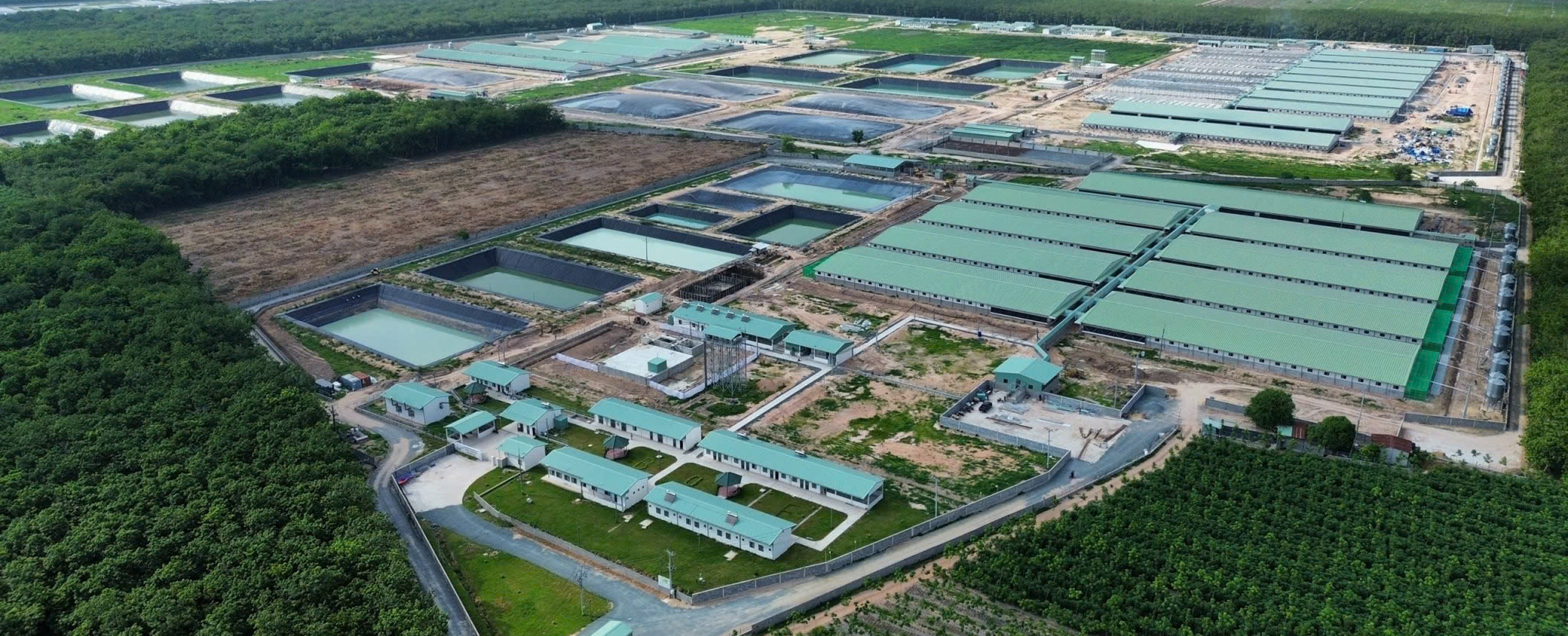 Trang Trại Chăn Nuôi Heo Theo Mô Hình Trại Lạnh Khép Kín- Tân Châu